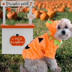 Halloween Pet Pumpkin Fleece Hoodie Costume, L